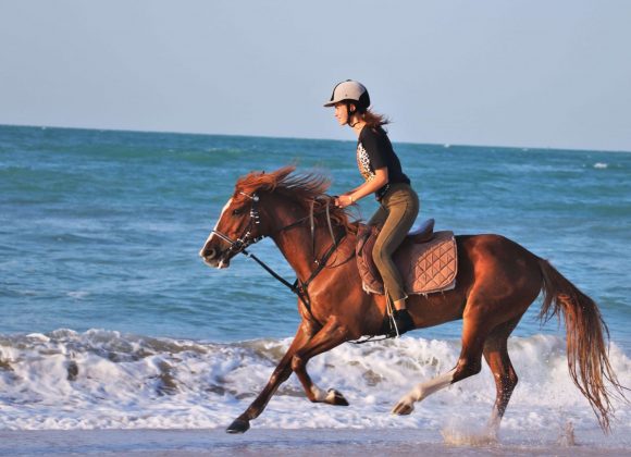 UAE Horse Riding